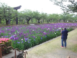 大村公園01-6