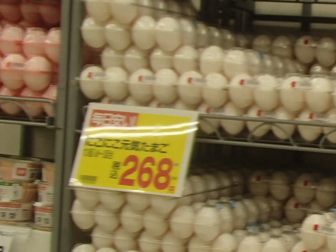 コスモスやダイレックスでお買い物 : 正しい休日の過ごし方