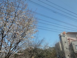 ������01-2