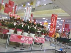 オムジャス01-4