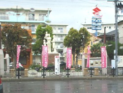 香焼チューリップ01
