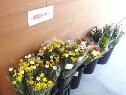 三浦線海沿いマルシェ01-4