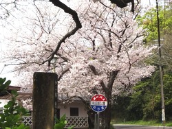 和三郎公園01-2