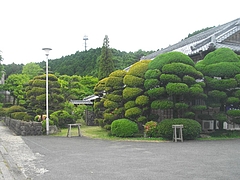 西ノ原01-2