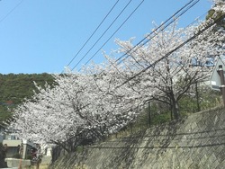 小江原01