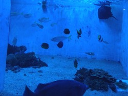 ペンギン水族館02-5