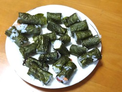 孫02