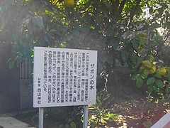 ��������03