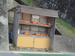 ������01-2