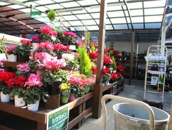 OK大村店01-9