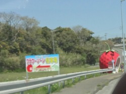 小長井01-3