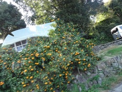 ������01-2