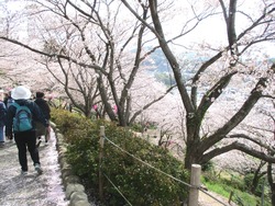 ���������01-8