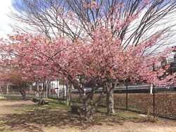 久原公園01-3