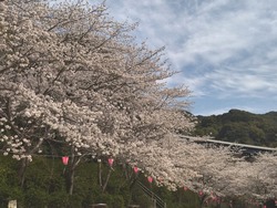 新戸町01-7