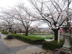 大村公園01-7