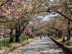 大村公園02-7