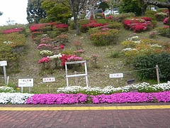 中尾城公園01