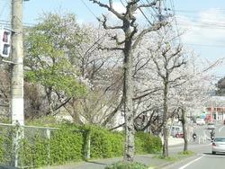 滑石01