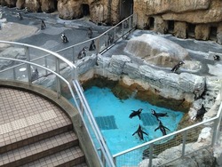 ペンギン水族館02-8