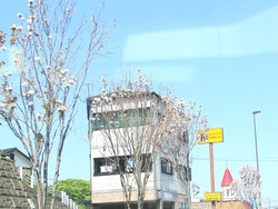 Âç¼01-2