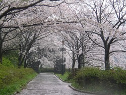 À¾»³¥À¥à04-4
