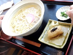 はくしか02