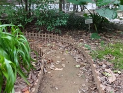 長崎大学02-7