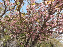 大村公園02-6