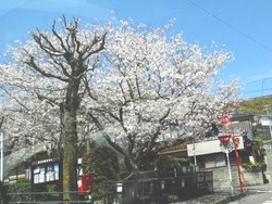 新戸町01-2