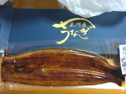 父の日01