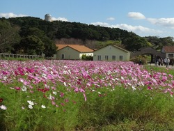 ������ε�02-2