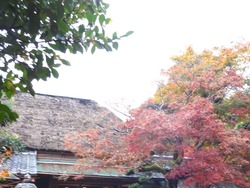 心田庵02-4