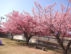 久原公園01-5