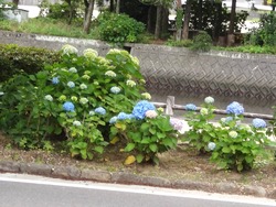 大村公園02-8