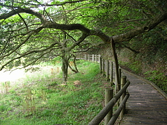 DSCN2894