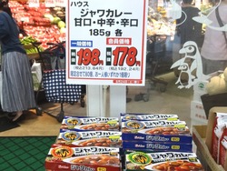 ジャワカレー01
