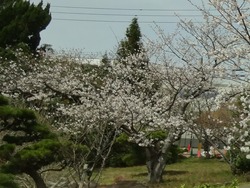 大村公園03-2