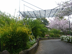 中尾城公園01-6
