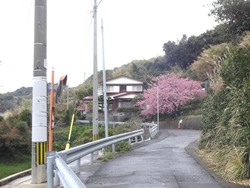 野母崎01-3