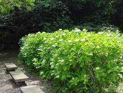 神の島公園01-5