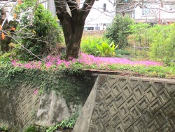 住吉02-5