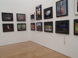 県展02-3