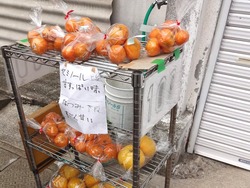 伊木力01-7