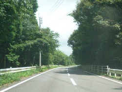 多良岳横断道路01