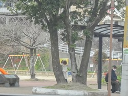 梁川公園01-2