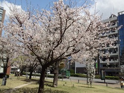 市立図書館01-2