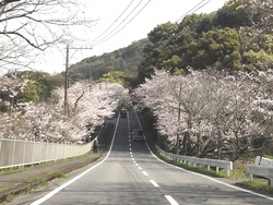 伊木力02-4