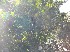 ��������03-2