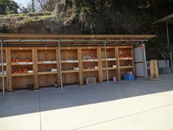 ������01-8